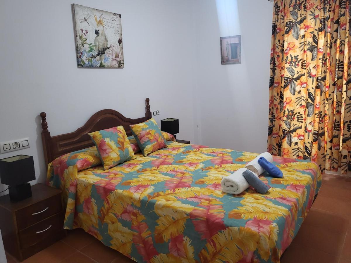 Casa Baja Naturista Con Palmeras Y Patio!